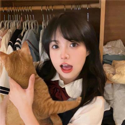 熊猫的大冒险